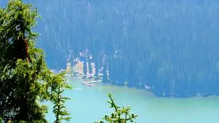 Video of Trapper Creek Campground, OR from Tj B.