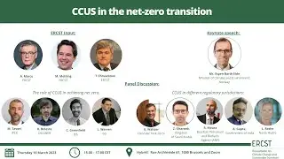 CCUS in the net zero transition
