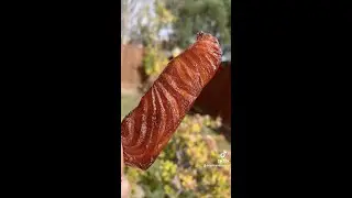 The Best Classic Salmon Jerky (you are missing out!)