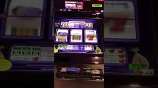 Jackpot Handpay! $2000 Mr. Money bags! 08/31/2017 #5