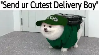 WHOLESOME Memes To Make You Feel Better V2