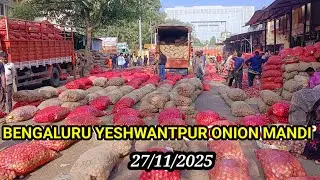 Bengaluru Yashwantpur onion market onion price today report #pyaj #kanda #iroli #vengai #bhav #piyaj