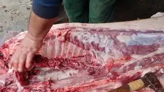 Transare porc, indepartare coaste