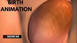 Amazing Natural Birth Explained with 3D Animation | Watch How a Human Baby Is Born Step by Step!