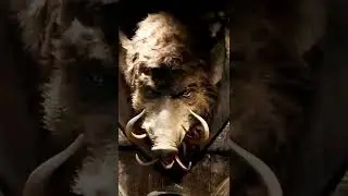 Hog&rsquo;s Head at Hogsmeade Universal Studios Orlando #shorts