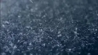 [10 Hours] Rain on Pavement at Night Close Up - Video & Audio [1080HD] SlowTV