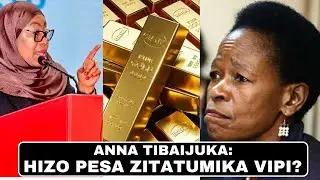 PROFESA Anna Tibaijuka Ahoji Kuhusu Dhahabu Za Tanzania Kuuzwa. Auliza Swali Ngumu Kwa Samia