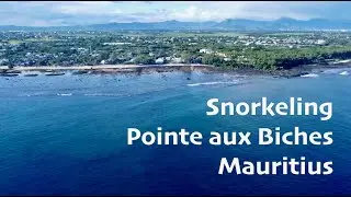 Snorkeling Review - Pointe aux Biches, Mauritius