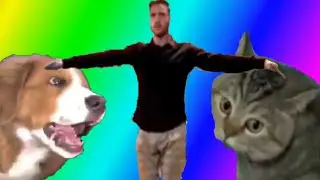 Memes That Make Animals Talk Memes Compilation 10M