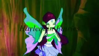 &hearts;NEW COLOR-PROJECT- Harlequin Fairies Trailer&hearts;