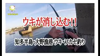 秋のフカセ釣りを楽しむ！愛知県知多半島の「大野漁港」のウキフカセ釣り