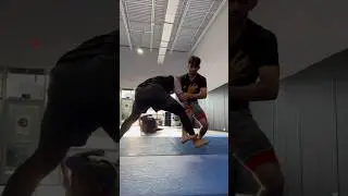 No Gi Training
