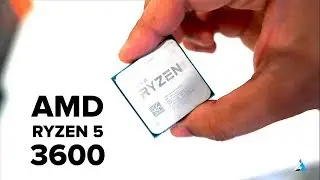 AMD Ryzen 5 3600 REVIEW and BENCHMARKS w/ GAMING!