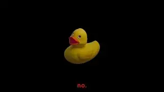 duck simulator