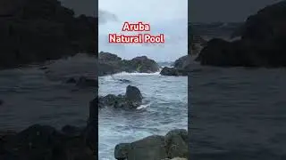 Aruba Natural Pool #viral #travel #aruba #arubaonehappyisland #naturalpool #carnivalcelebration