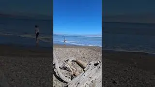 Playing catch w/your BFF is like..