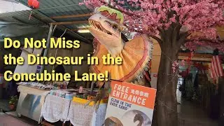 Concubine Lane Yi Lai Hong 二奶巷 Lorong Panglima: Jalan Bijeh Timah to Jalan Bandar Timah Ipoh Perak