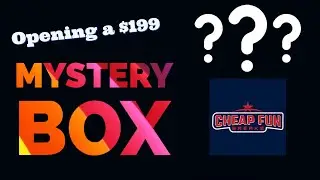 Opening A $199 Mystery Box from Cheap Fun Breaks