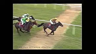1995 Sun Alliance Hurdle Putty Road