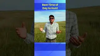 Best Time of Day to Hunt