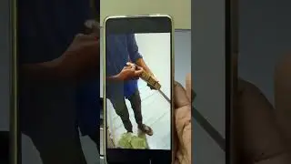My iPhone Nightmare: 3 Service Center Visits, Green Screen Issues & a Used iPhone from Amazon