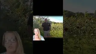 St. Petersburg drug him to court over sunflowers #shorts #trending #stpetersburg #sunflower