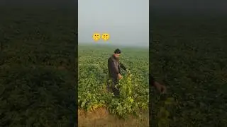 my village new and life#vlog #villagelife #publice #punjabisong #ytshorts #reels #lifeisbutadream #