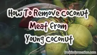 How To Remove Coconut Meat From Young Coconut