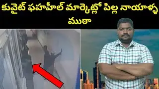 కువైట్ ఫహహీల్ మార్కెట్లో || Kuwait Fahaheel Market || SukanyaTv Telugu