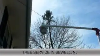 Tree Service Sewell NJ, American Pride Tree Service LLC.