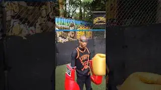 death sentence vs Winged C