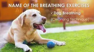 BREATHING EXERCISES  DOG BREATHING