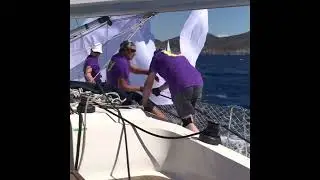 Регата 2022 sail and fun