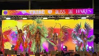Tribe Carnival 2025: A First Look at Stunning Costumes!