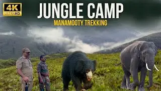 🔥Thrilling Thekkady Manamutti Peak Trekking | Tent Stay Jungle Camp | Wild Animals Sighting