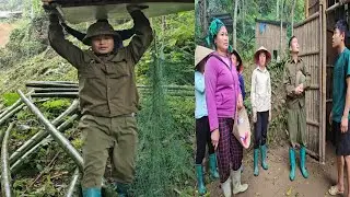 Грубые деревянные доски аккуратно сложены, готовые к строительству нового дома.
