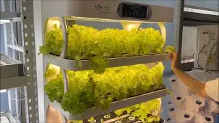 Lyine's Hydroponic All-in-One Grow Cabinet : For Veggies, Seedlings & Microgreens