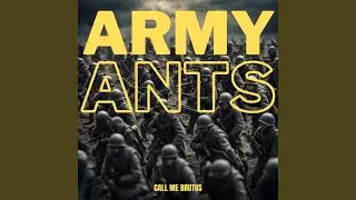 ARMY ANTS