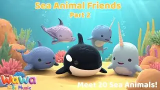 Sea Animal Friends &ndash; Part 2 🐋 | Learn 20 Sea Animals | Wawa Kids Music