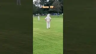 Player Profile: Danny Collins #villagecricket #TavsTV