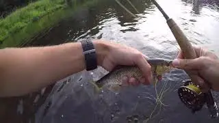 Pèche à la mouche sur l'Amblève (Belgique)