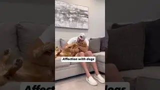 How people act with dogs vs humans!