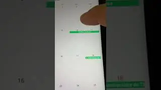 Utilisation TimeTree