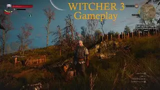 Witcher 3 gameplay 2025