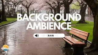 Spring Rain Brick Path in the Park with Cherry Blossoms | Relaxing Rain Sounds for Calm & Focus