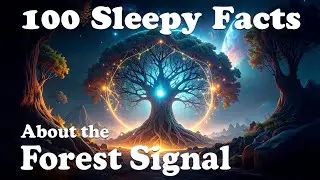 The Most Relaxing Facts About the Forest Signal to Fall Asleep To - Science Documentary for Sleep