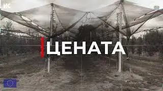 Професор Ордан Чакулиев: Не сакам да го нарекувам земјоделски отпад–тоа е биомаса со голема вредност
