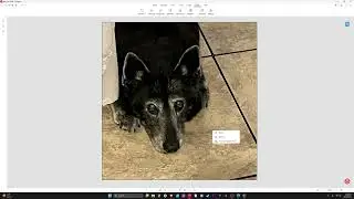 Adobe Acrobat Alternative - Convert Image to PDF and Add Signature and Text