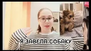 Я ЗАВЕЛА СОБАКУ 🐶 // МИЯ // МОРКИ