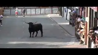 Encierro San Adrián 21 6 2013